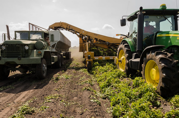 Agri Watch looks after your farm.